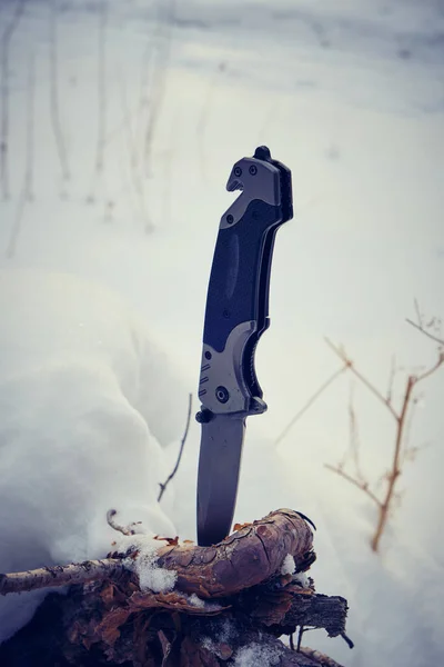 Skládací Kempingový Nůž Vnořil Spadlé Borovice Zimním Lese — Stock fotografie