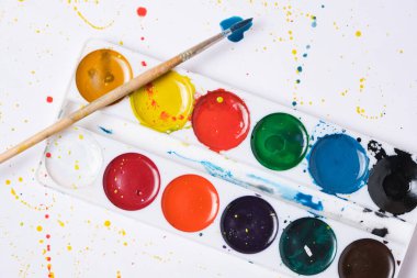 Parlak suluboya boya boya ve suluboya resim için beyaz arka planlı bir fırça ayarla