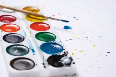 Parlak suluboya boya boya ve suluboya resim için beyaz arka planlı bir fırça ayarla