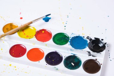 Parlak suluboya boya boya ve suluboya resim için beyaz arka planlı bir fırça ayarla