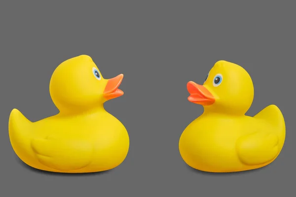 Two Yellow Rubber Ducks Gray Background — Stock Photo, Image