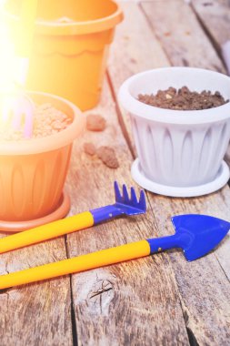 Çiçek saksıları ve dekoratif bahçe aletleri parlak güneş ışığı altında ahşap bir arka planda