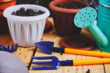 Çiçek saksıları, sulama kabı ve ahşap bir arka planda bahçe aleti