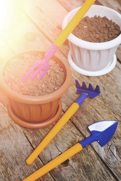 Çiçek saksıları ve dekoratif bahçe aletleri parlak güneş ışığı altında ahşap bir arka planda