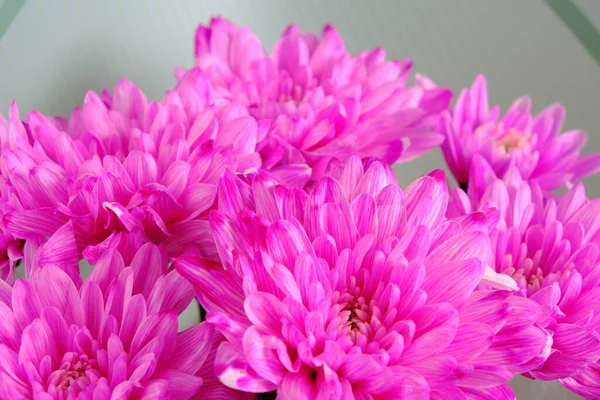Fondo Abstracto Pétalos Flores Color Rosa Brillante Cerca — Foto de Stock