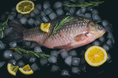 Pişirme balığı, pişirme tepsisinde çiğ balık, buz küpleri, limon dilimleri ve biberiye filizi.