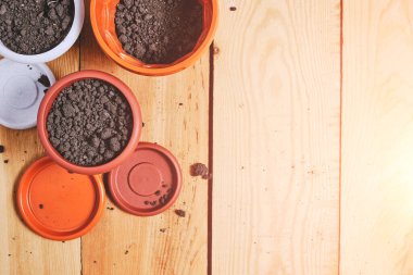 Ahşap bir arka planda, aydınlık bir günde farklı saksılar.