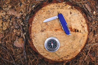 Çakı ve pusula arka plandaki çam ağacına karşı çam çöpü iğneleri.