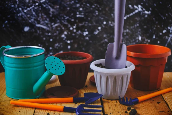 Watering Can Flower Pots Gardening Tools Wooden Table — 스톡 사진