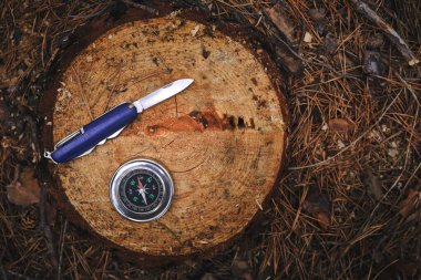 Çakı ve pusula arka plandaki çam ağacına karşı çam çöpü iğneleri.