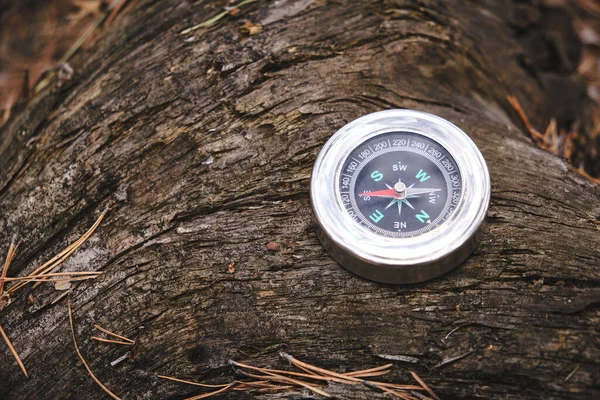 Brújula Tronco Árbol Bosque Viajes Recreación Silvestre — Foto de Stock