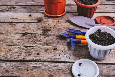 Çiçek saksıları ve dekoratif bahçe aletleri tahtadan bir arka planda kürek, tırmık ve yaba