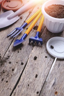 Çiçek saksıları ve dekoratif bahçe aletleri parlak güneş ışığı altında ahşap bir arka planda