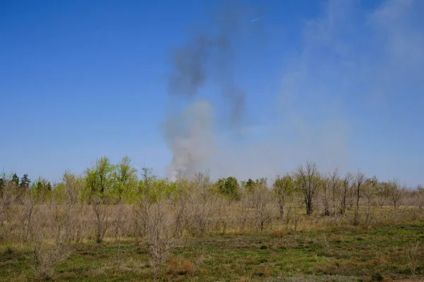 Chmury Czarno Biały Dym Plantacji Lasu Przed Błękitnym Nieba Wildfire — Zdjęcie stockowe