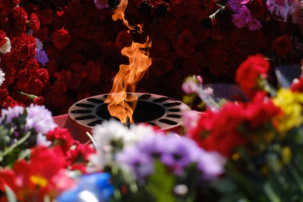 Tongues eternal fire among flowers roses and carnations laid to eternal flame