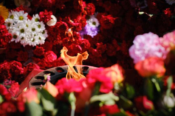 Языки вечный огонь среди цветов роз и гвоздик, возложенных к вечному огню