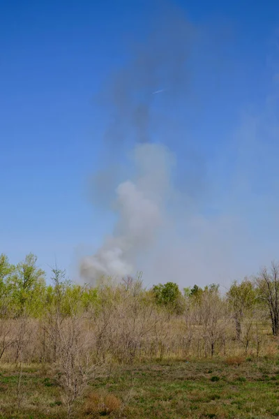 Nuages Fumée Noire Blanche Dans Plantation Forestière Contre Ciel Bleu — Photo