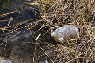 Atılmış plastik şişe, ekoloji ve çevre kirliliği
