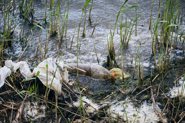 Plastic Bottles Plastic Bags Human Waste Were Thrown Riverbank Pollution — Foto de Stock