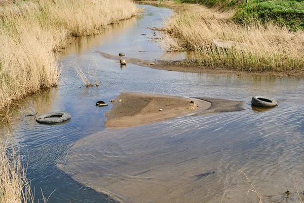 Inquinato Dalla Spazzatura Essiccazione Letto Del Fiume Scarsa Ecologia Industria — Foto Stock