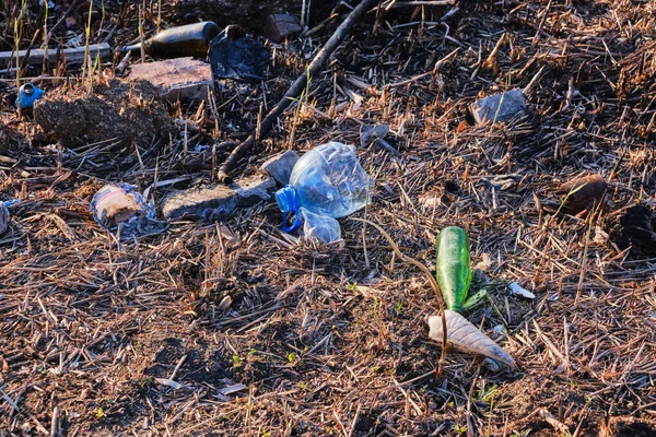 Απορρίμματα Πλαστικών Και Γυαλιού Περιβάλλον Ρύπανσης Και Φύση — Φωτογραφία Αρχείου