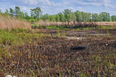 Sığ bataklık bölgesinde kamyon ve çöp lastiği, çevre kirliliği