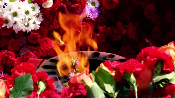 Hořící Věčný Plamen Mezi Květinami Které Přinesli Lidé Památník Května — Stock video