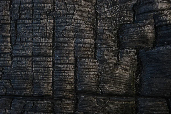 Gray Background Burnt Charred Wooden Board — Stok fotoğraf