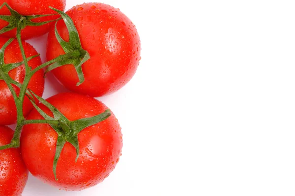 Rote Und Reife Tomaten Weißen Hintergrund — Stockfoto