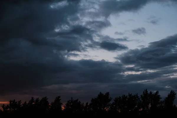 夕阳西下 树木的轮廓 暴风雨般的云彩 — 图库照片