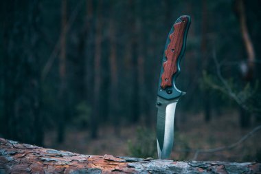 Hayatta kalmak ve korunmak için taktik bıçak ormandaki ağaç gövdesine sıkışmış zor koşullar