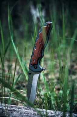 Hayatta kalmak ve korunmak için taktik bıçak ormandaki ağaç gövdesine sıkışmış zor koşullar