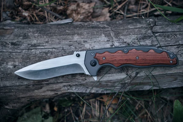 Taktik bıçak hayatta kalma ve zor koşulları koruma, ormanda ağaç gövdesi uzanır.