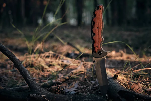 Couteau Tactique Pour Survie Protection Dans Des Conditions Difficiles Forêt — Photo