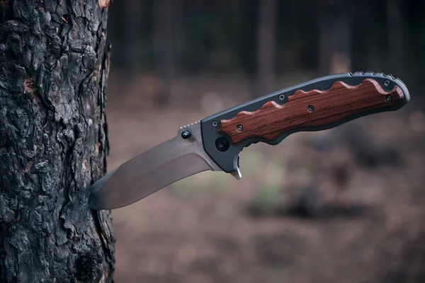 Tactical knife for survival and protection difficult conditions stuck into trunk tree in forest