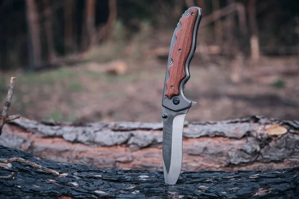 Tactical knife for survival and protection difficult conditions stuck into trunk tree in forest