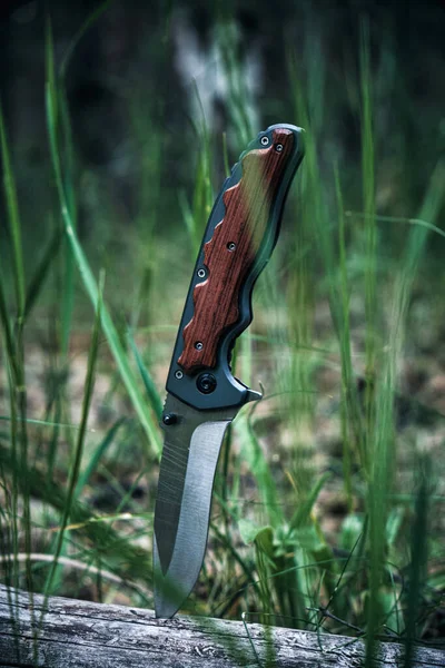Taktisches Messer Zum Überleben Und Schutz Unter Schwierigen Bedingungen Baumstamm — Stockfoto