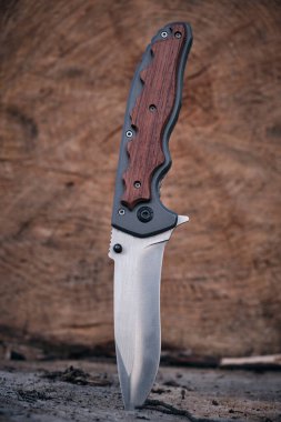 Taktiksel bıçak hayatta kalma şartları ağaç gövdesine sıkışmış.