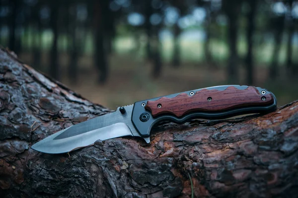 Tactical knife survival and protection difficult conditions, lies trunk tree in forest