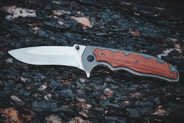 Taktik bıçak hayatta kalma ve zor koşulları koruma, ormanda ağaç gövdesi uzanır.