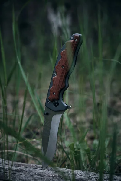 Tactical knife for survival and protection difficult conditions stuck into trunk tree in forest