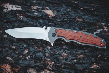 Taktik bıçak hayatta kalma ve zor koşulları koruma, ormanda ağaç gövdesi uzanır.