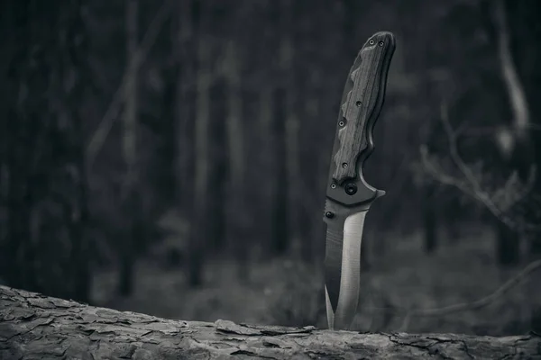 Tactical knife for survival and protection difficult conditions stuck into trunk tree in forest.Black and white
