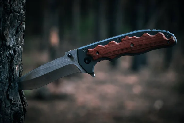 Taktisches Messer Zum Überleben Und Schutz Unter Schwierigen Bedingungen Baumstamm — Stockfoto