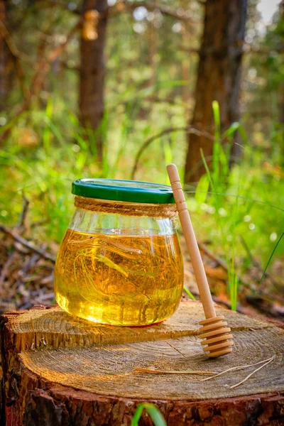 Jar honey and spoon for honey in forest on stump