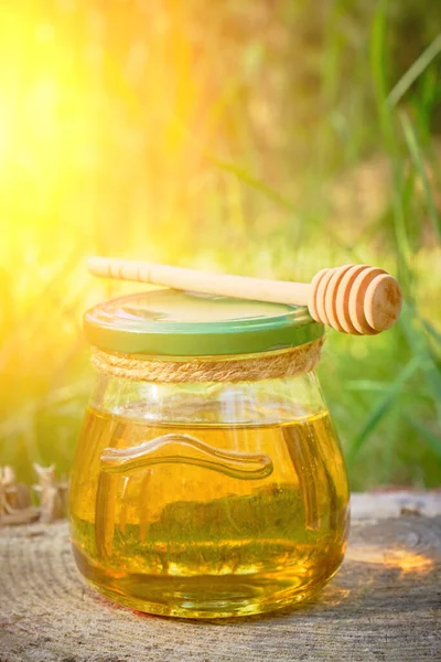 Pot Miel Cuillère Pour Miel Forêt Sur Souche — Photo