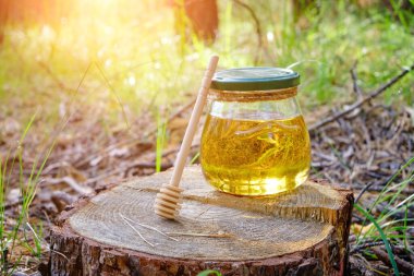 Kavanozda bal ve kaşık, ormanda bal için kütük üzerinde.