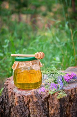 Kavanozda bal ve kaşık ormanda çayırda çiçeklerle birlikte.