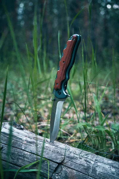 Tactical knife for survival and protection difficult conditions stuck into trunk tree in forest