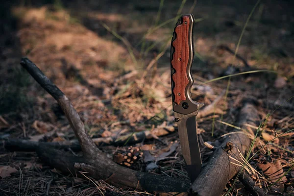 Тактический Нож Выживания Защиты Сложных Условиях Застрявший Лес Ветвей Деревьев — стоковое фото
